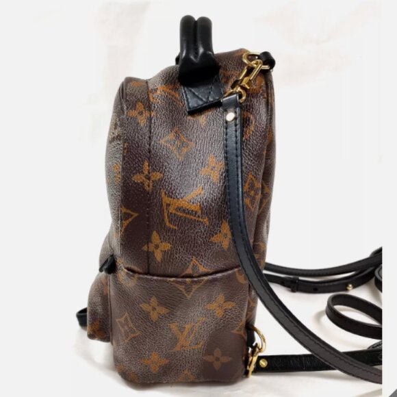 Mini Palm Springs Louis Vuitton Backpack - Picture 3 of 14